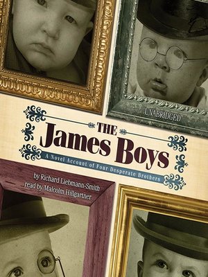 cover image of The James Boys